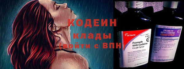 индика Михайлов