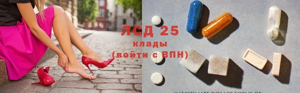 индика Михайлов