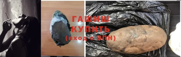 индика Михайлов