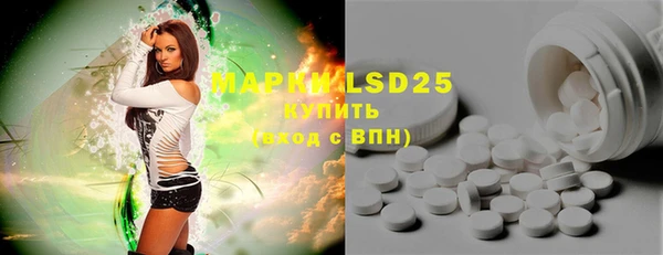 индика Михайлов