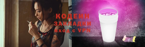 индика Михайлов