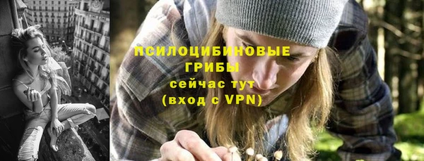индика Михайлов