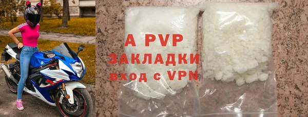 индика Михайлов