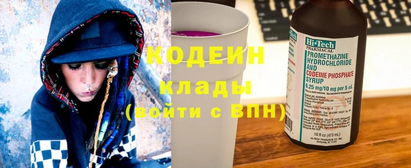 индика Михайлов