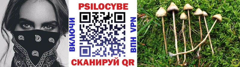 Галлюциногенные грибы Psilocybine cubensis  дарк нет официальный сайт  Починок 