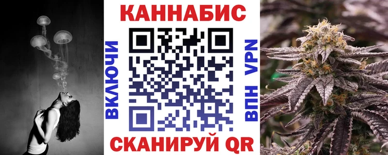 Конопля сатива  закладка  Починок 